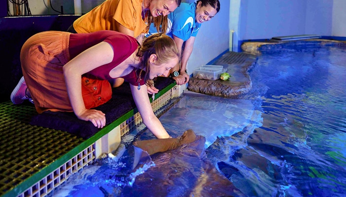 Guest at Cairns Aquarium