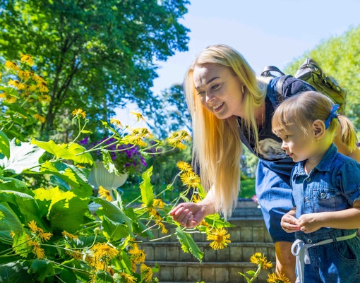 London Travel Guide - Events