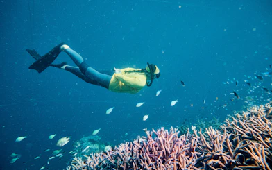 Snorkeler exploring coral reef at Whitehaven Beach, Whitsundays Island.