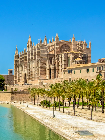 Mallorca Cathedral with palm trees and waterfront in Palma, Spain.