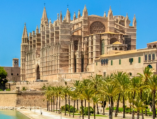 Mallorca Cathedral with palm trees and waterfront in Palma, Spain.