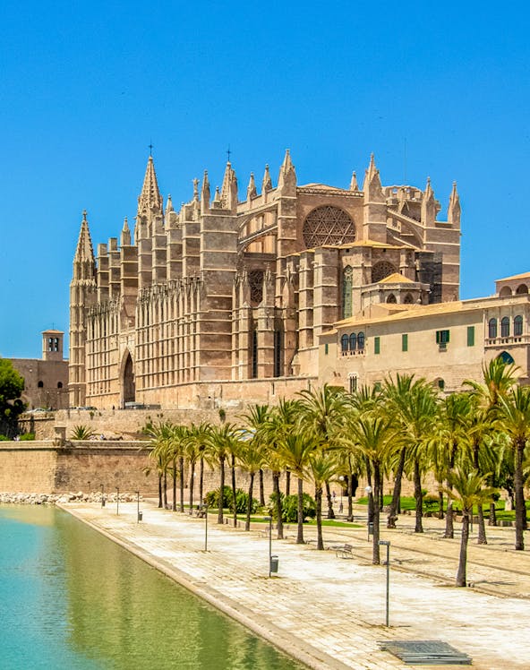 Mallorca Cathedral with palm trees and waterfront in Palma, Spain.