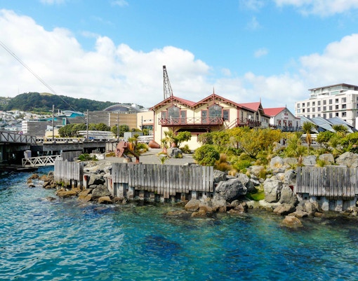 Day Trips from Auckland