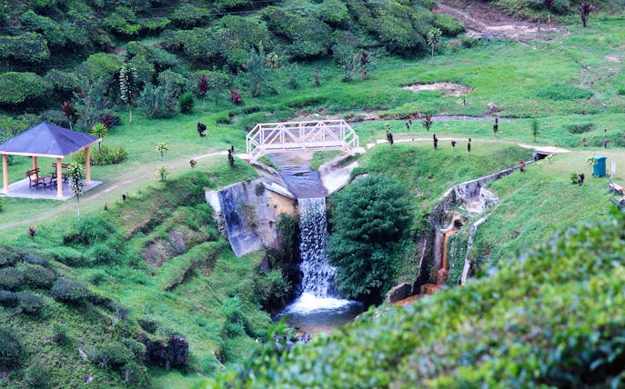 Waterfall and bridge in Cameron Highlands, Malaysia, surrounded by lush greenery.