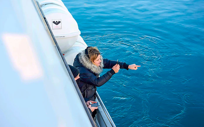 Guests pointing at whales from yacht during whale watching tour.