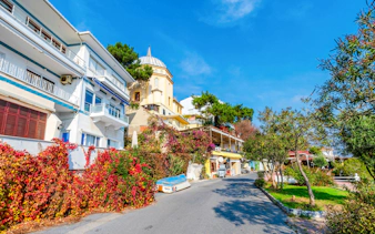 Street view of Buyukada with colorful buildings and greenery during Princes' Islands day trip.