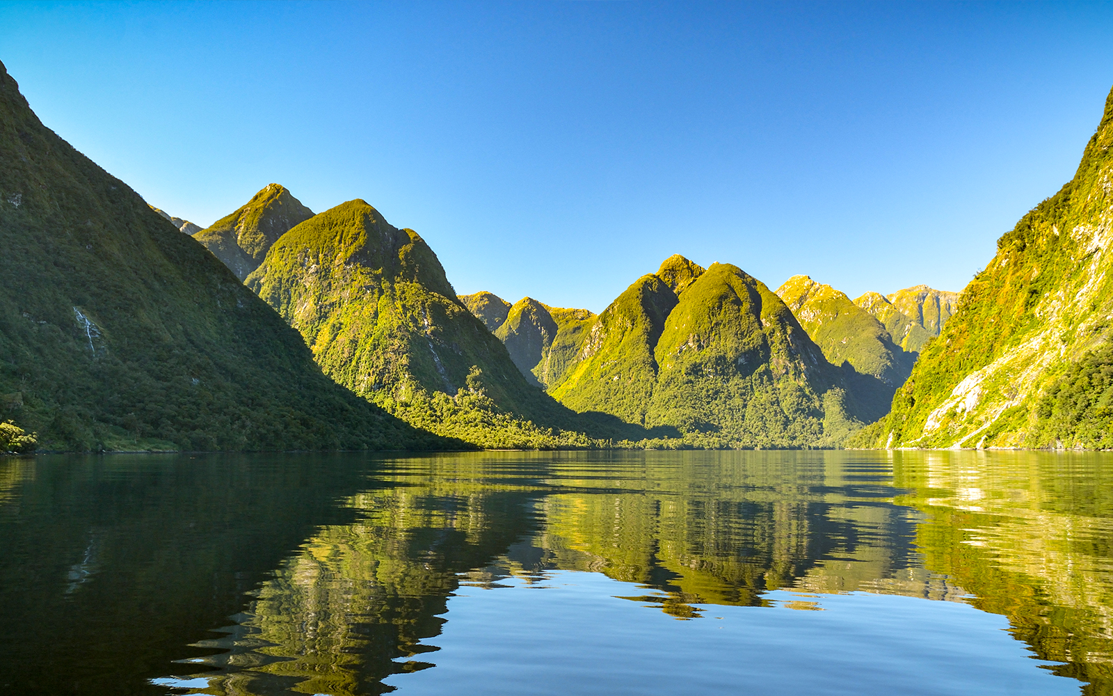 Salon Kolu "Sessizliğin Sesi"