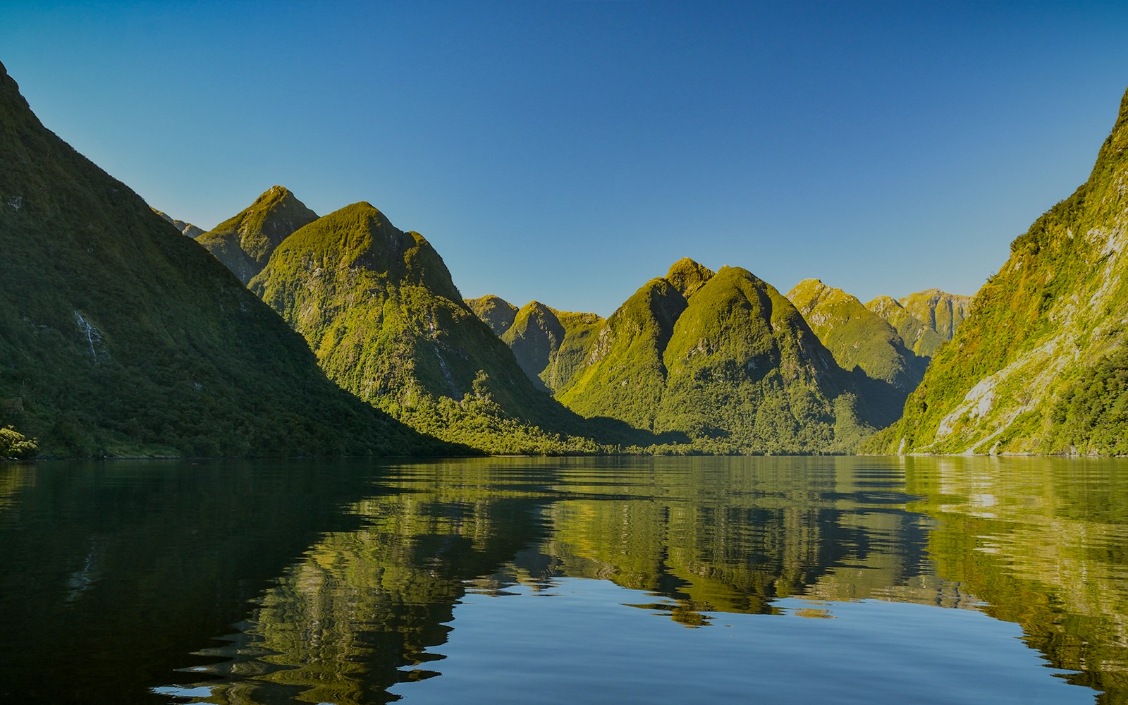 Doubtful Sound, Nueva Zelanda