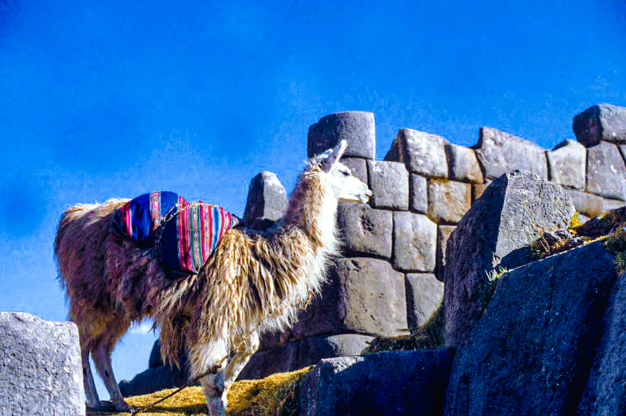 Cusco City Tour: Qoricancha, Sacsayhuaman and Tambomachay Image 3