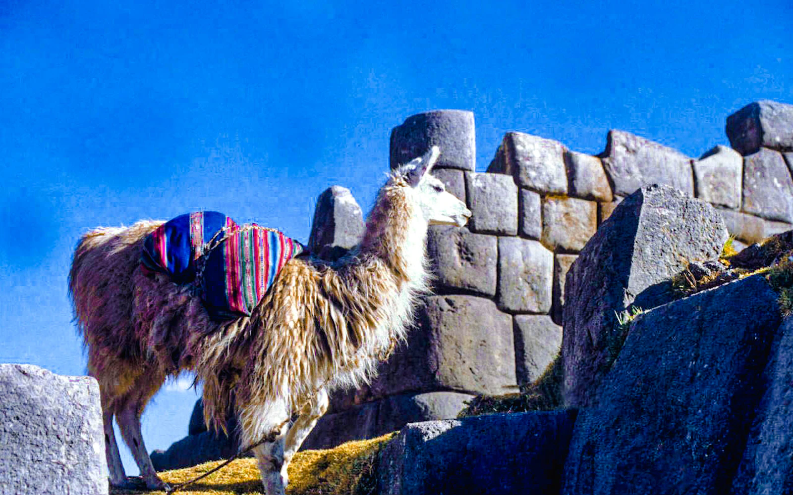Cusco City Tour: Qoricancha, Sacsayhuaman and Tambomachay Image 3