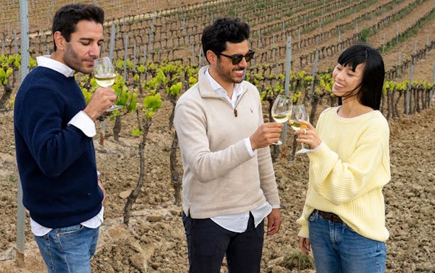 People enjoying wine in a vineyard during a 4WD tour from Lisbon.