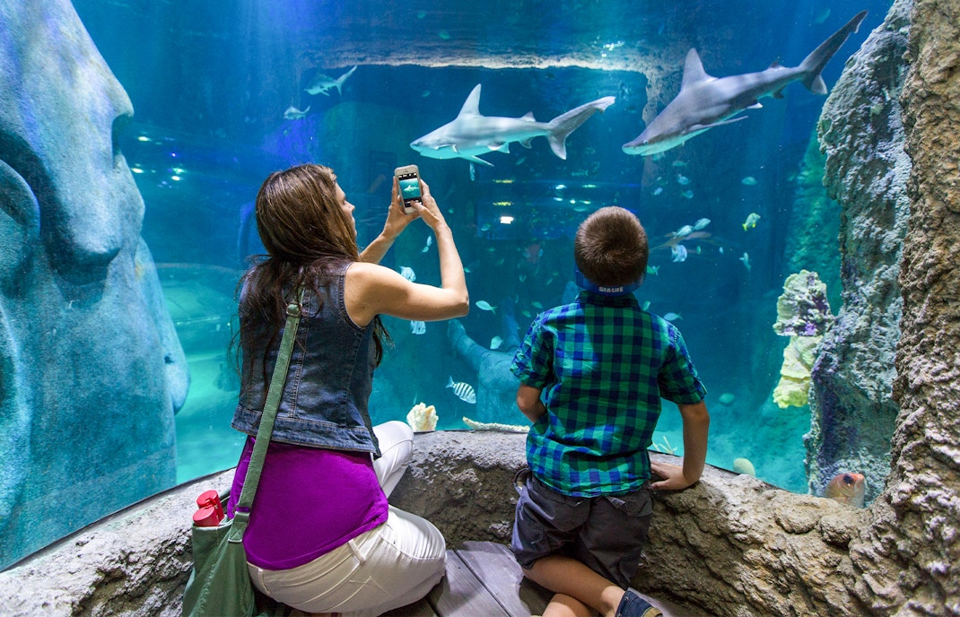 Titanic Artifact Exhibition