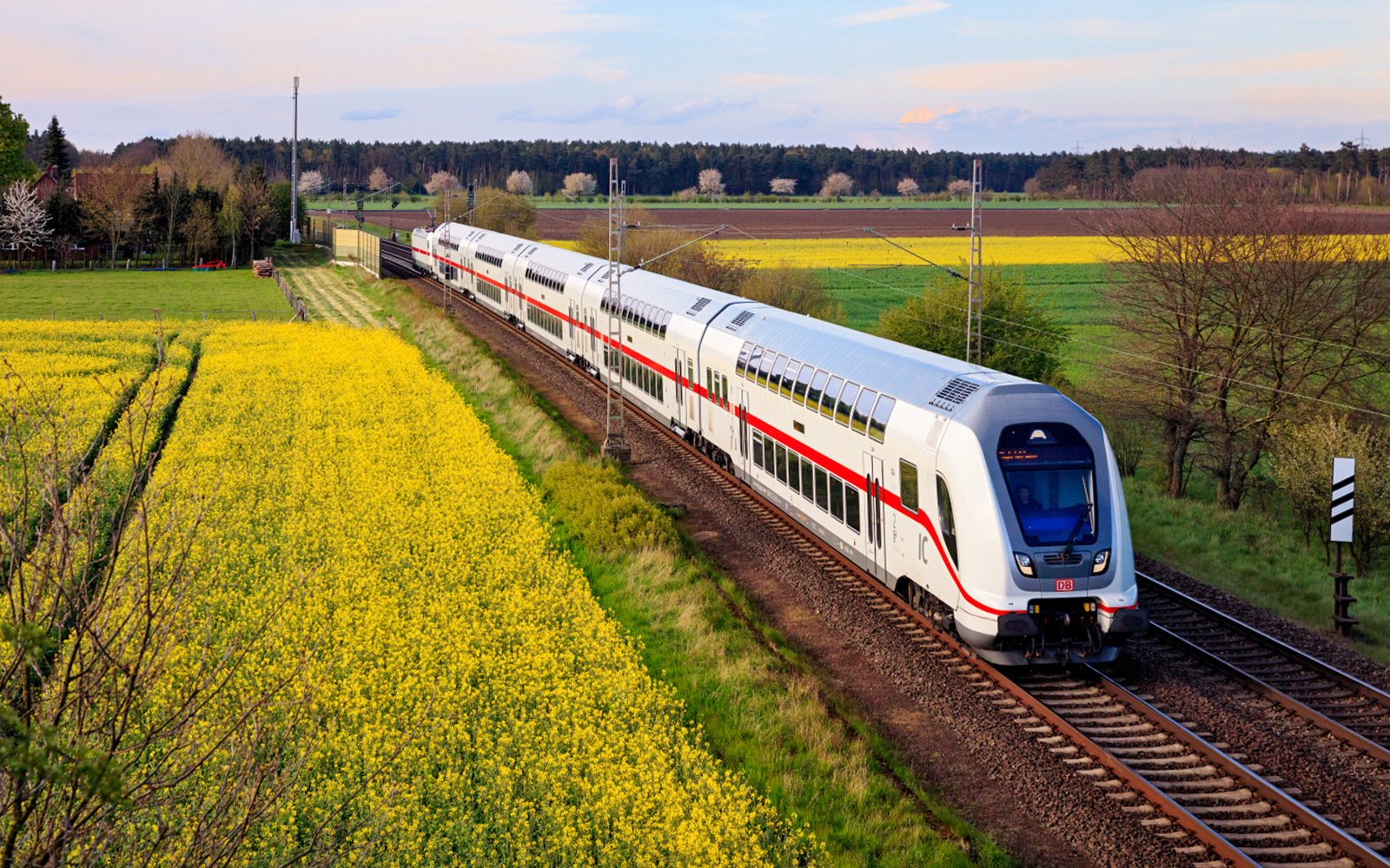 Train traveling through German countryside with yellow fields, related to Interrail Germany Mobile Pass.