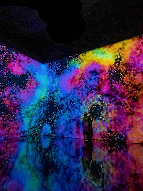 Immersive digital art display at Singapore Future World Exhibition.