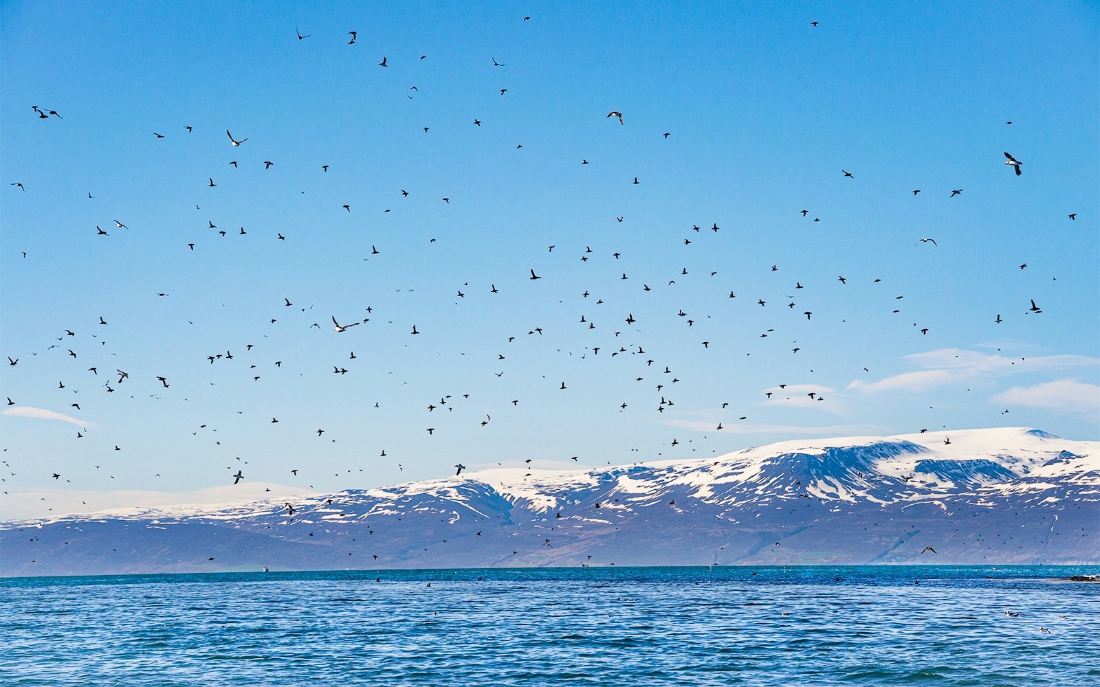 Check out the scenic landscape