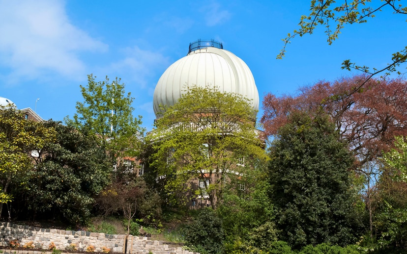 Equatorial telescope dome at Griffith Observatory, surrounded by trees, Los Angeles, USA.