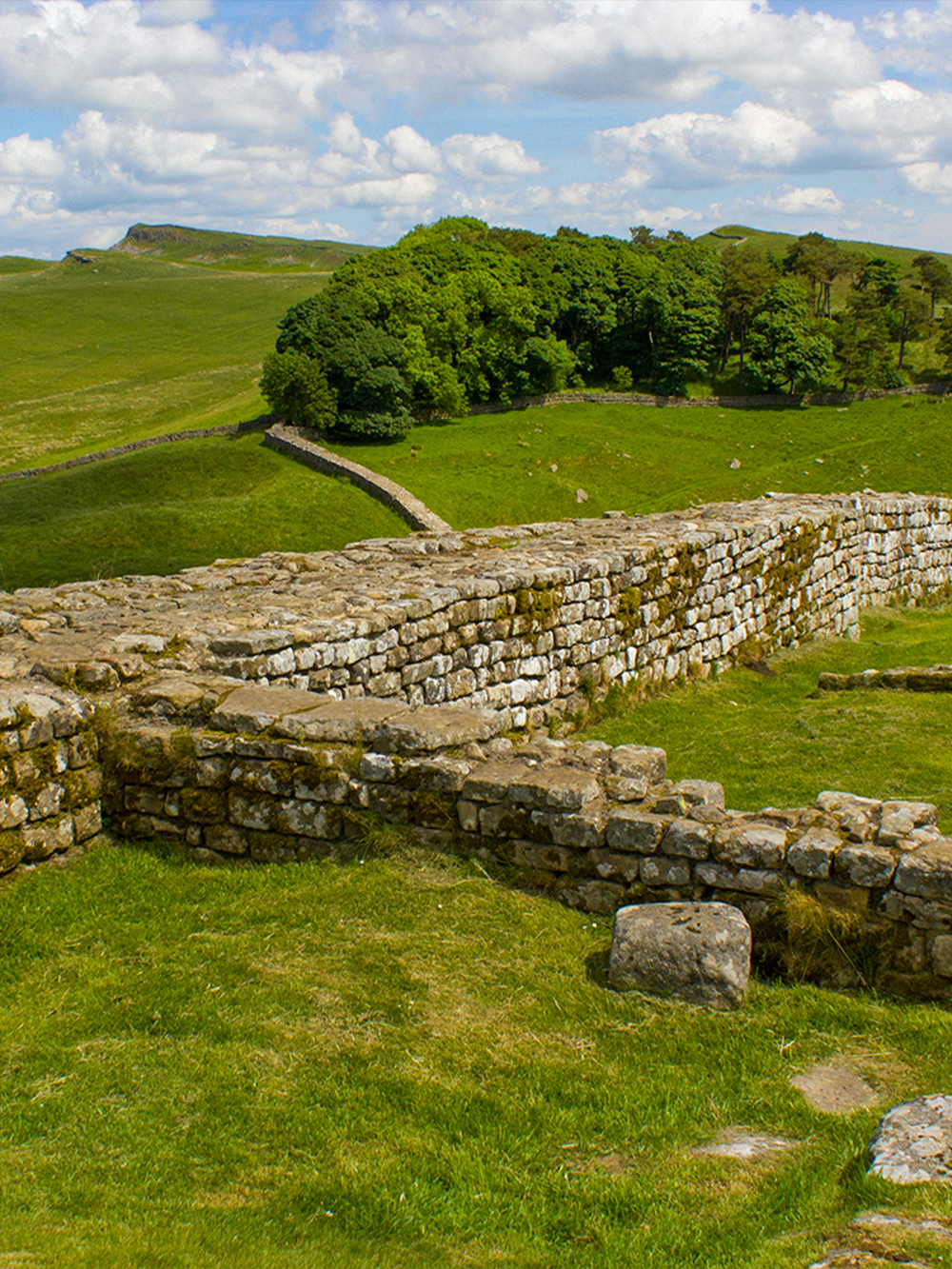 Housesteads Roman Fort