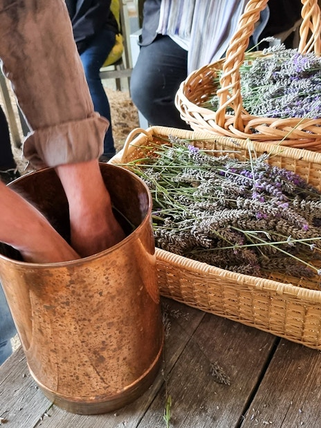 Hands preparing lavender in a copper pot during Sault Lavender Morning Guided Tour.