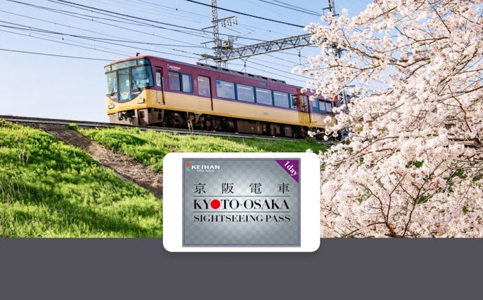 Train passing cherry blossoms on Kyoto-Osaka route with sightseeing pass.