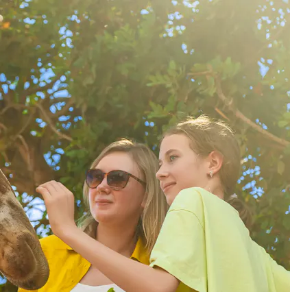 Explore the Wonders of Lisbon Zoo: A Unique Wildlife Experience