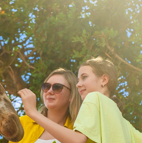 Explore the Wonders of Lisbon Zoo: A Unique Wildlife Experience