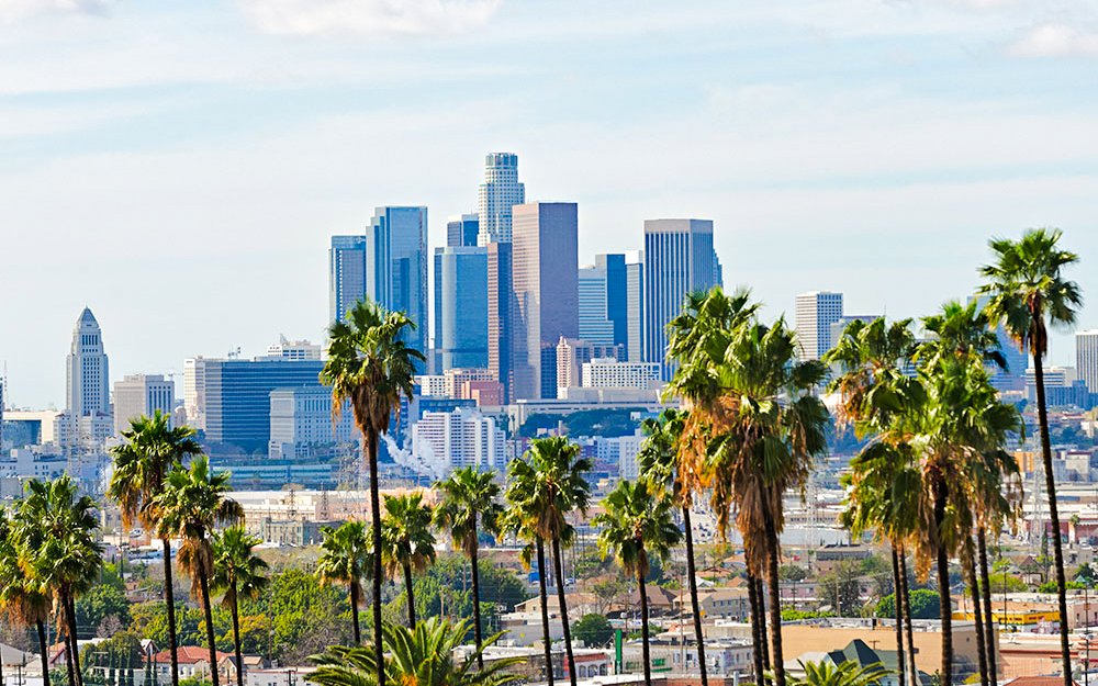 Skyline of Los Angeles with palm trees along Santa Monica Boulevard.