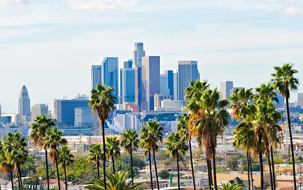 Skyline of Los Angeles with palm trees along Santa Monica Boulevard.