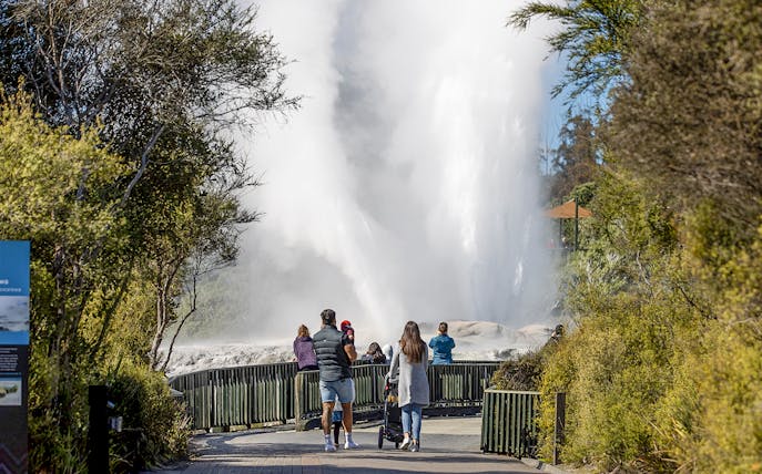 Visitors watching a geyser erupt at Te Puia, Rotorua, during the Te Rā Guided Experience.