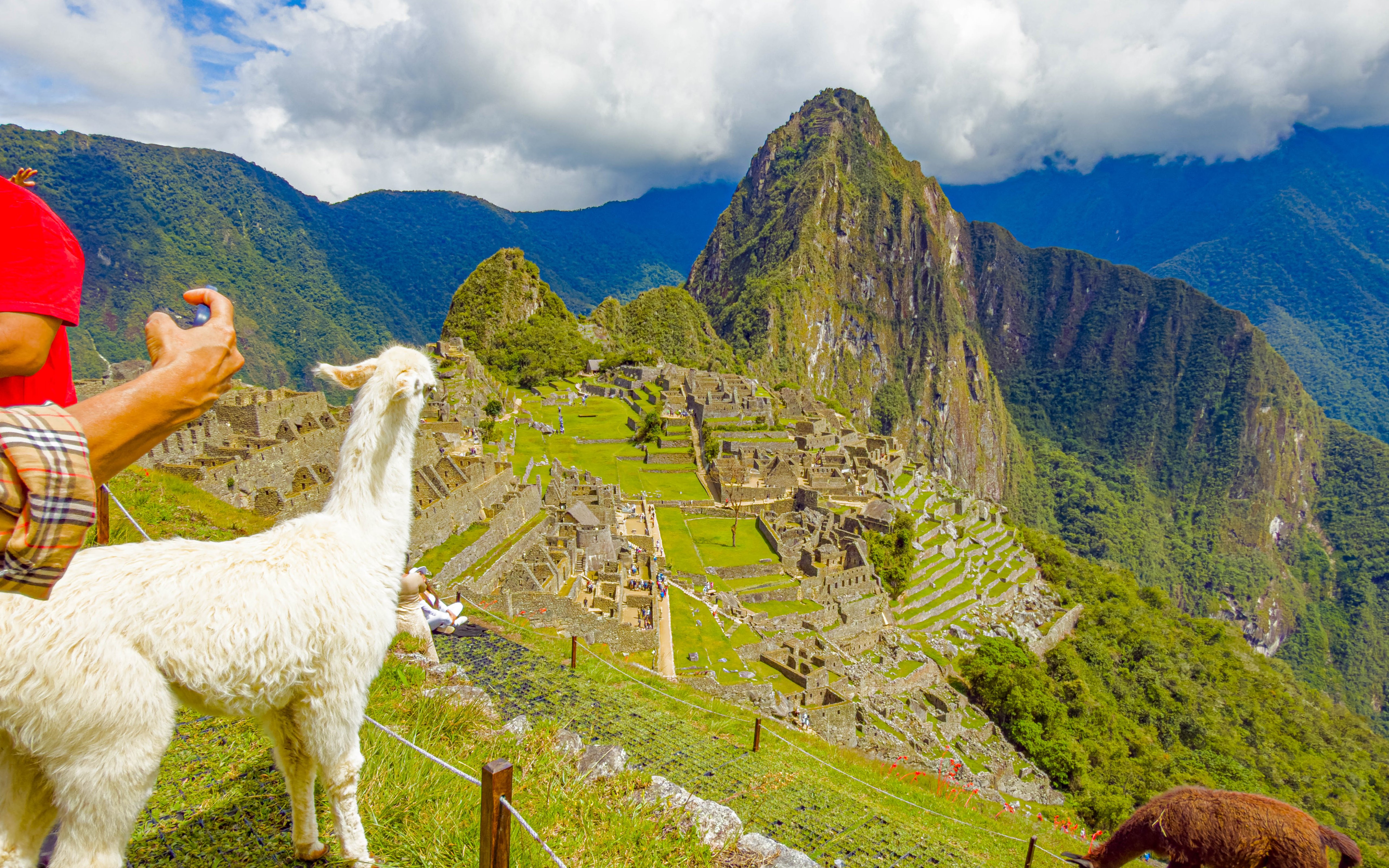 Visitors and llamas at Machu Picchu, Peru, with ancient Inca ruins in the background.