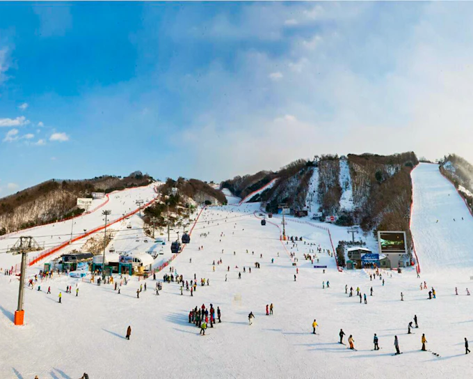 Round-Trip Shuttle Transfers from Seoul to Vivaldi Park