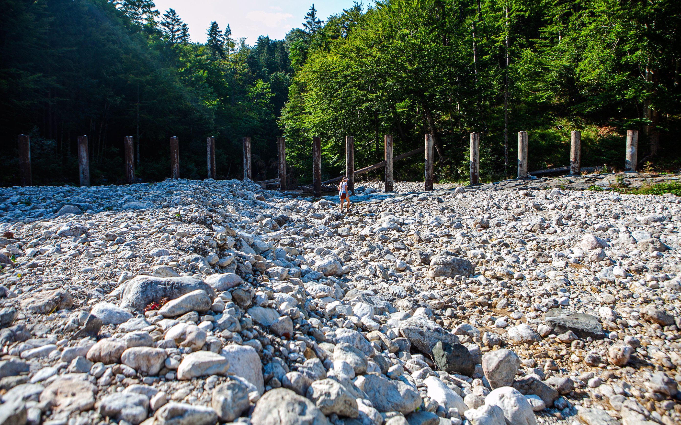 Hiker on rocky trail surrounded by forest near Neuschwanstein Castle.