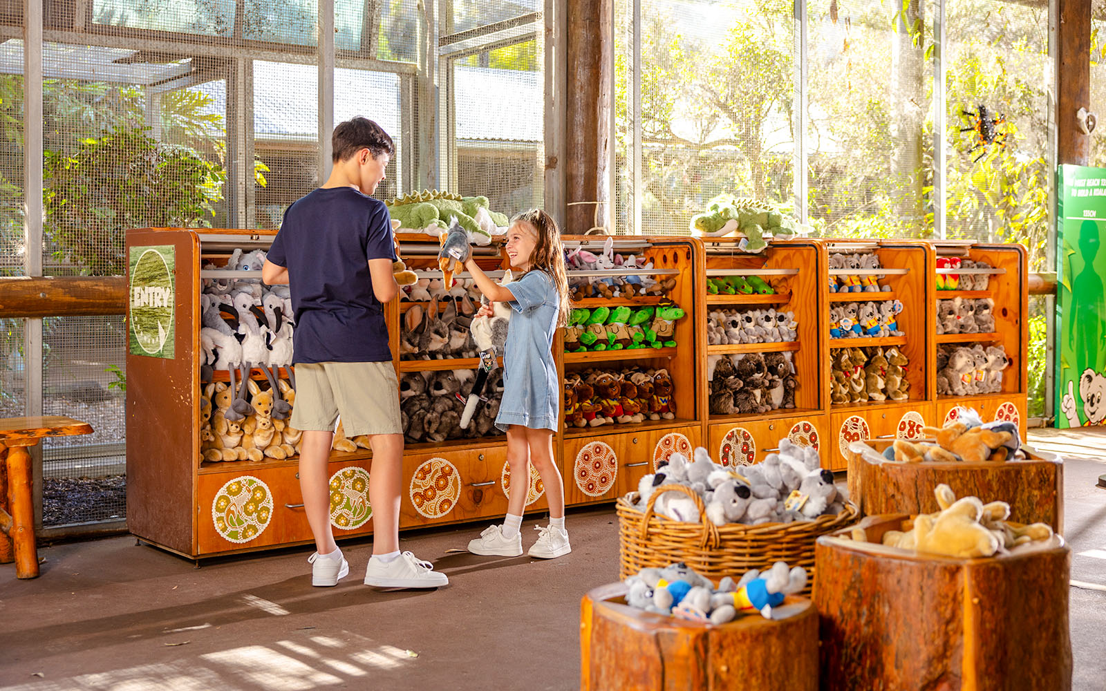 Koala Photos at Dreamworld.
