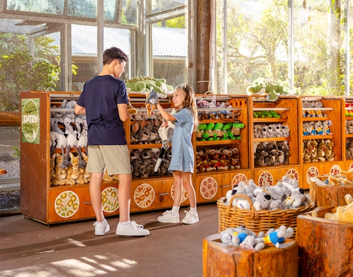 Koala Photos at Dreamworld.