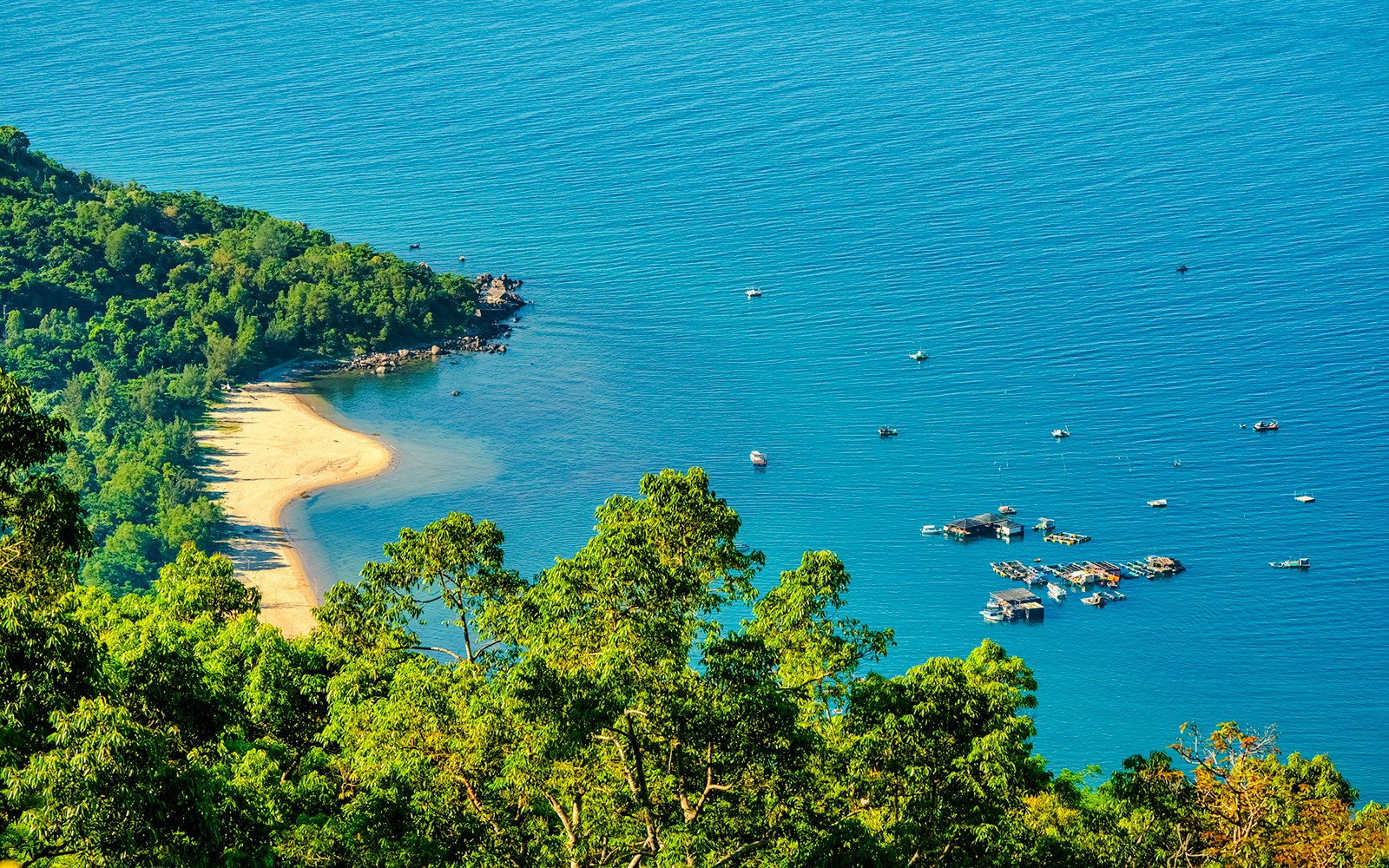 Beach and forest view at Son Tra peninsula, Da Nang, Vietnam with boats on the water.