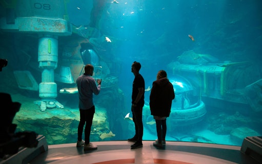 seaworld abu dhabi tickets-2