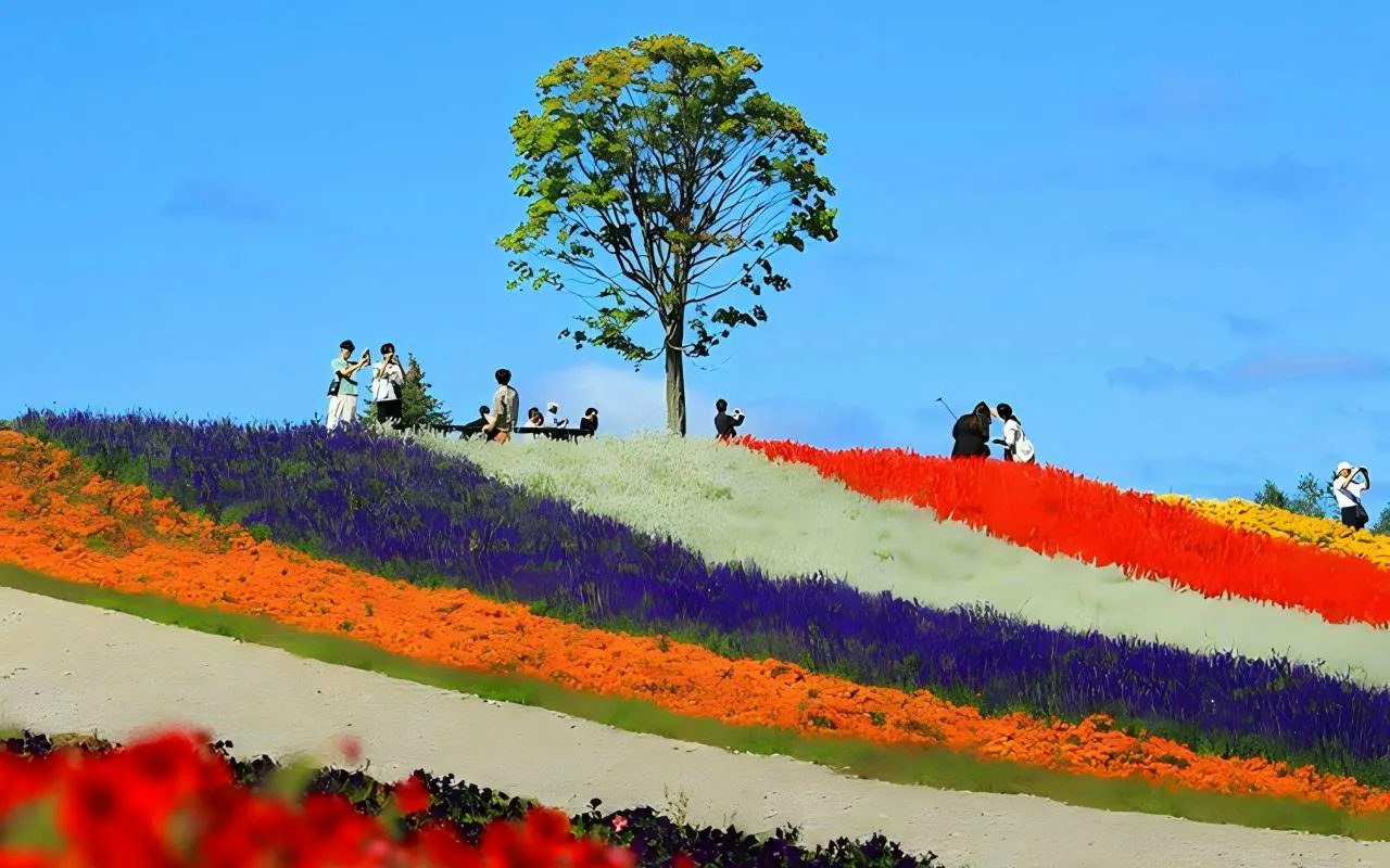 Visitors walking among colorful flower fields at Shikisai-no-Oka, Hokkaido.