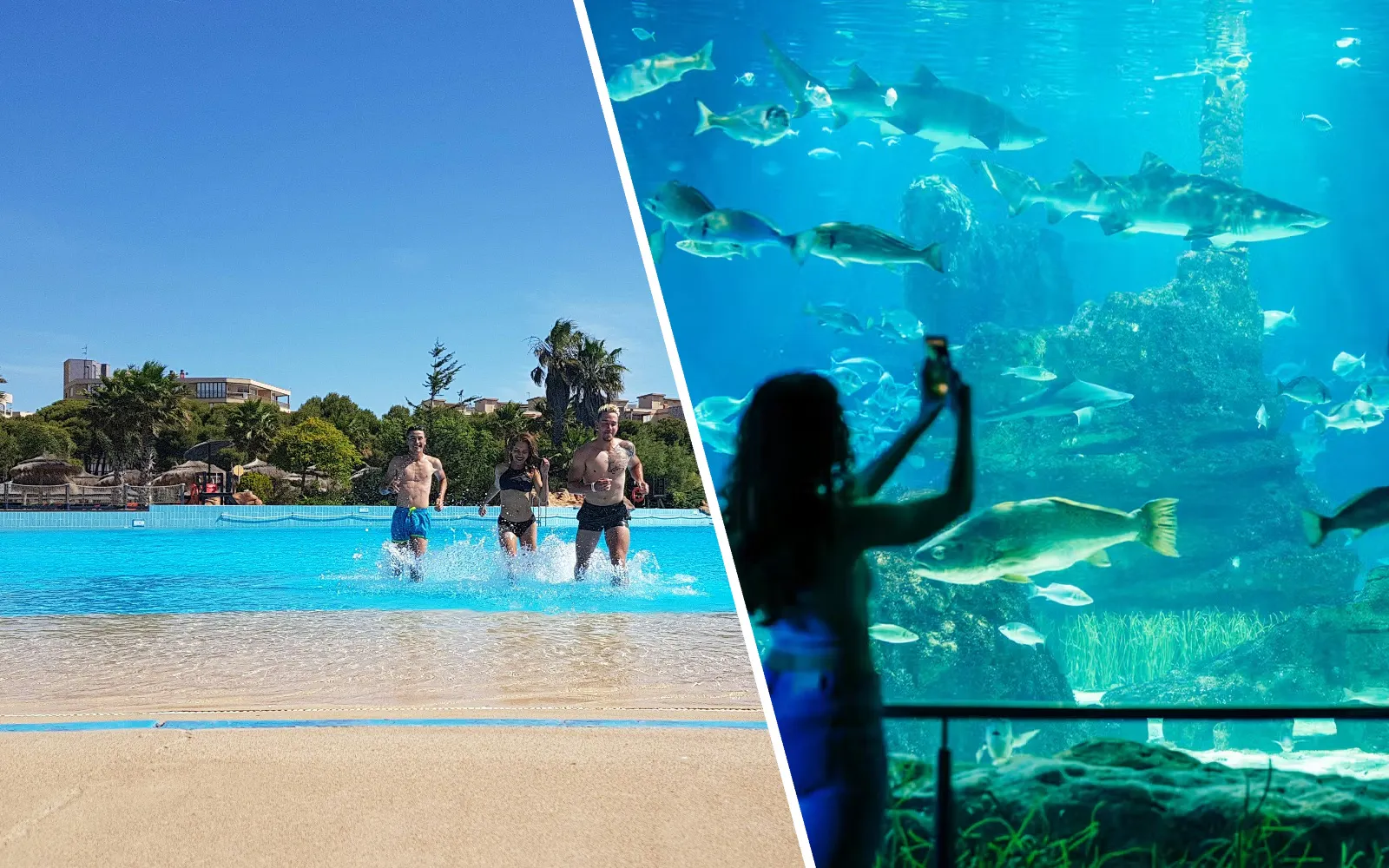 Combo: Aquopolis Costa Daurada and Barcelona Aquarium Fast Track Experience