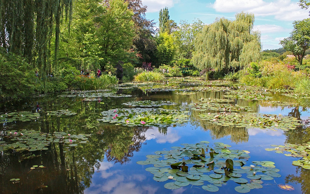 Giverny water lily pond with lush greenery, part of Monet’s Gardens on a half-day tour from Paris.