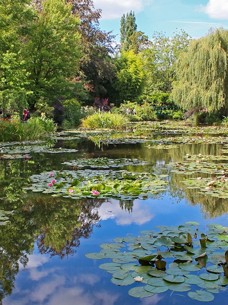 Giverny water lily pond with lush greenery, part of Monet’s Gardens on a half-day tour from Paris.