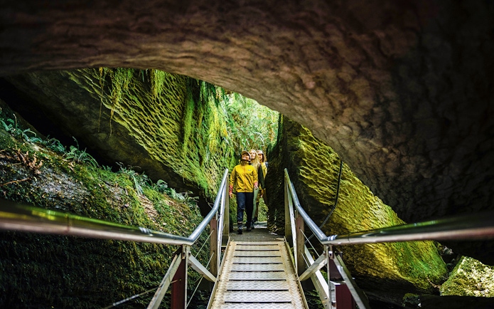 Tourists walking through lush Te Anau Glowworm Caves on a guided tour.