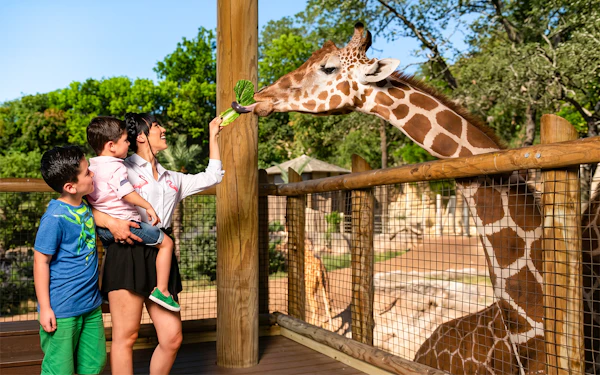 San Antonio Zoo Tickets