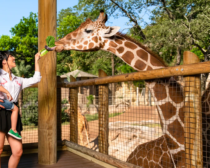 San Antonio Zoo Tickets