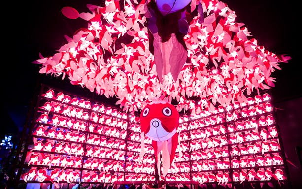 Nara Kingyo Museum illuminated goldfish lantern display.