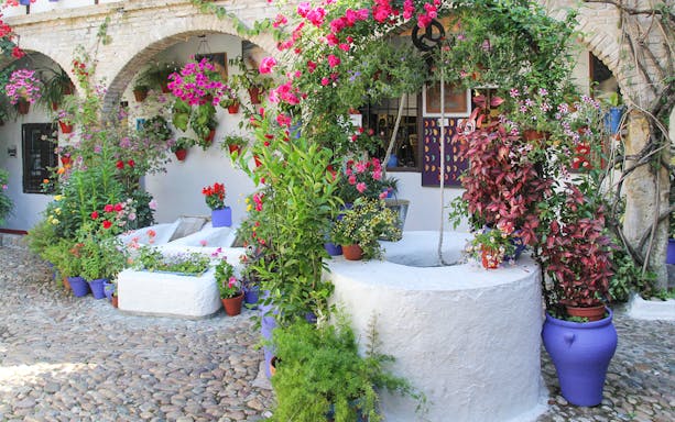 Patios of Cordoba with vibrant flowers and traditional architecture.