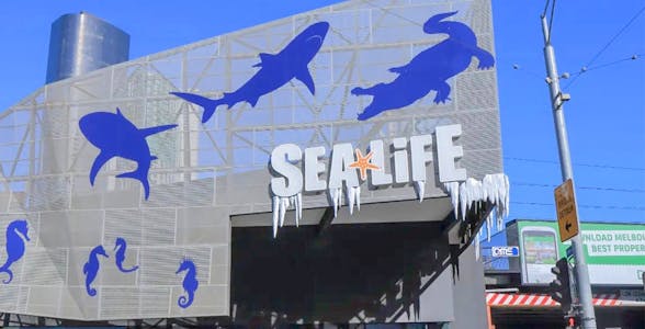 SEA LIFE Melbourne Tickets