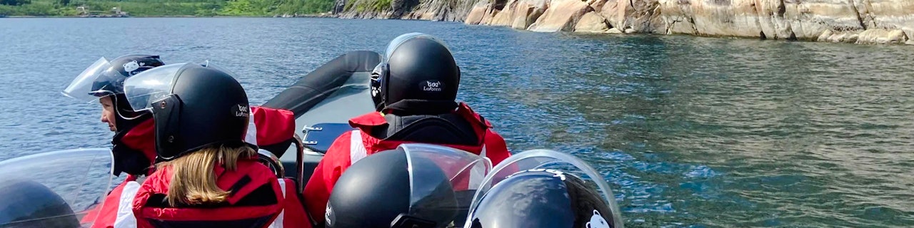 Da Svolvær: Barca RIB Lofoten Trollfjord e Safari con le aquile di mare