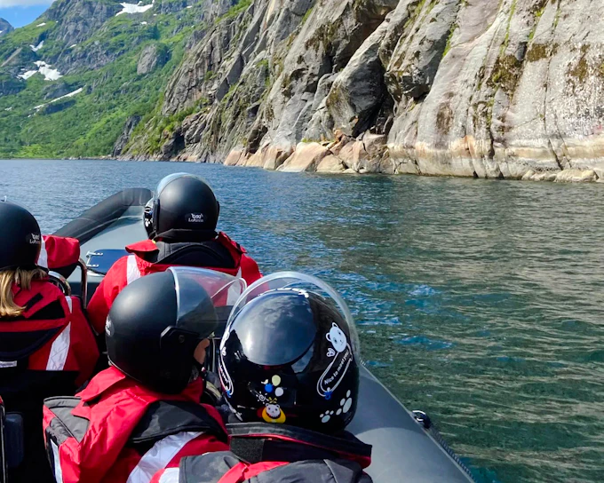 From Svolvær: RIB Boat Lofoten Trollfjord & Sea Eagle Safari