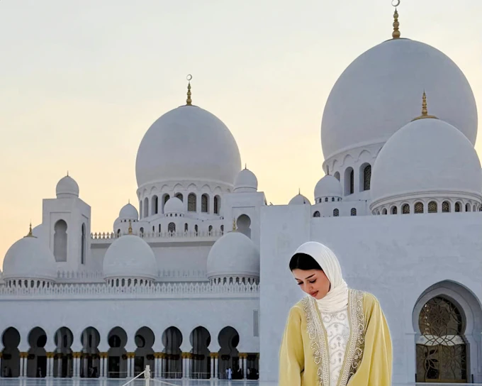From Dubai: Abu Dhabi City Tour with Sheikh Zayed Grand Mosque and Hotel Transfers
