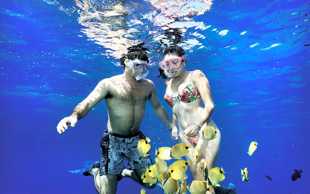 Snorkelers with tropical fish in clear Maui waters, part of Luxury West Snorkel Sail Tour.