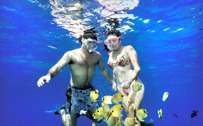 Snorkelers with tropical fish in clear Maui waters, part of Luxury West Snorkel Sail Tour.